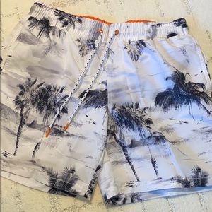 express swim trunks, worn once